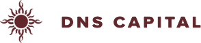 DNS Capital logo